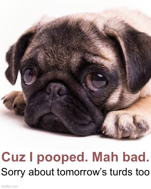 Sorry about tomorrow’s turds too Cuz I pooped. Mah bad. | made w/ Imgflip meme maker