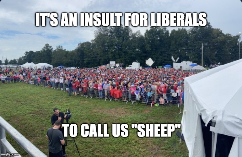 IT'S AN INSULT FOR LIBERALS; TO CALL US "SHEEP" | image tagged in trump,sheep | made w/ Imgflip meme maker