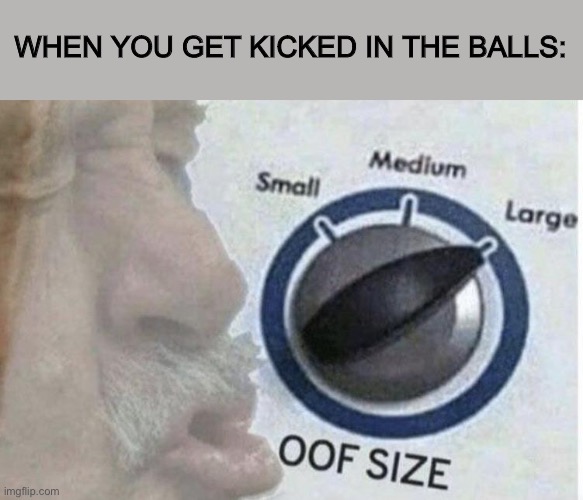 Truth | WHEN YOU GET KICKED IN THE BALLS: | image tagged in oof size large | made w/ Imgflip meme maker