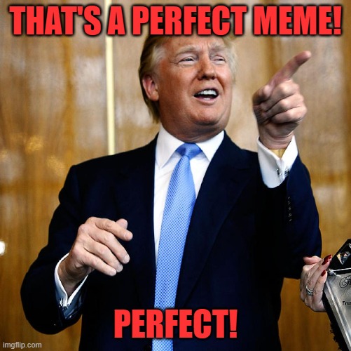 Donal Trump Birthday | THAT'S A PERFECT MEME! PERFECT! | image tagged in donal trump birthday | made w/ Imgflip meme maker