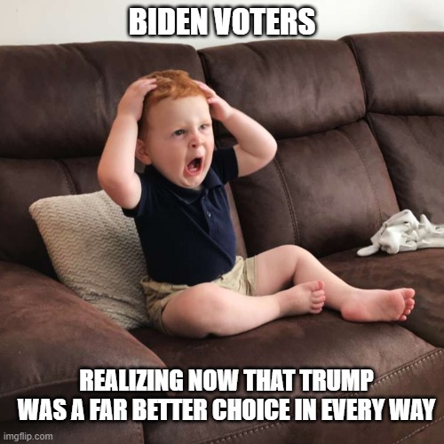 Orange man bad but Mr. Magoo is a REAL disaster | BIDEN VOTERS; REALIZING NOW THAT TRUMP WAS A FAR BETTER CHOICE IN EVERY WAY | image tagged in terrified toddler,democrats,liberals,biden,trump,dimwits | made w/ Imgflip meme maker