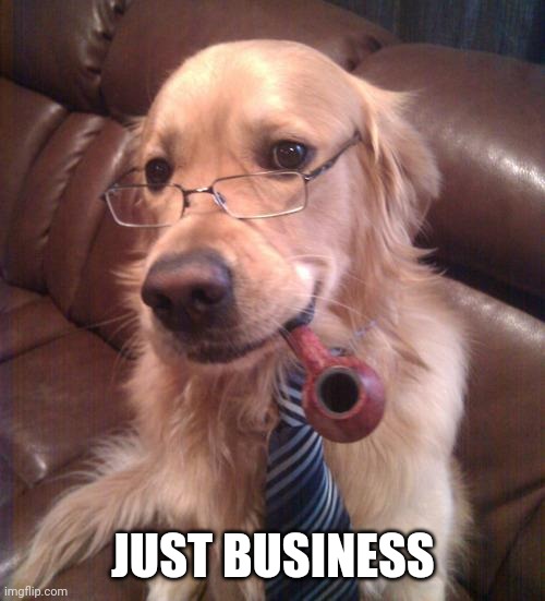 don't take it personal it's just business dog meme | JUST BUSINESS | image tagged in don't take it personal it's just business dog meme | made w/ Imgflip meme maker