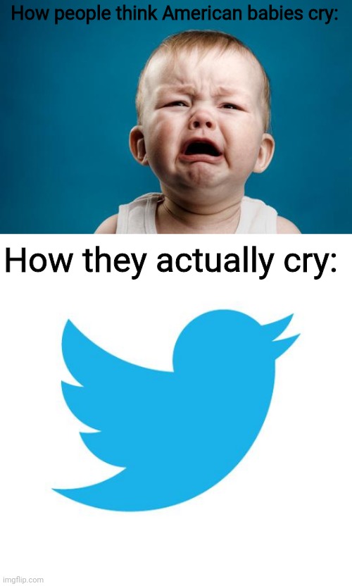 How people think American babies cry:; How they actually cry: | image tagged in baby crying,twitter birds says | made w/ Imgflip meme maker
