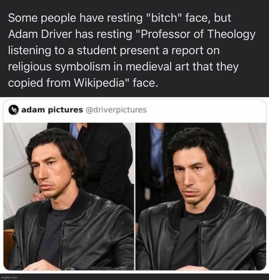 Resting Adam Driver face | image tagged in resting adam driver face | made w/ Imgflip meme maker