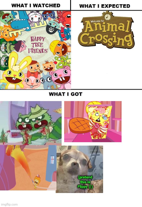 Funni | (pretend this is Flippy :] ) | image tagged in what i watched/ what i expected/ what i got | made w/ Imgflip meme maker