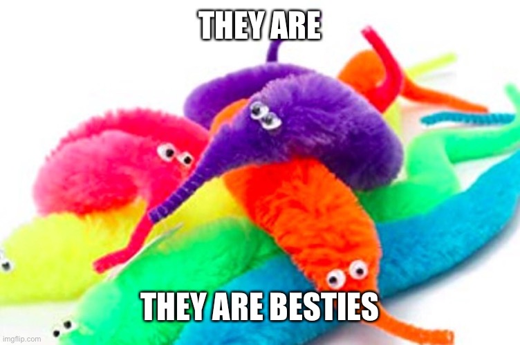 They are besties | THEY ARE; THEY ARE BESTIES | image tagged in worms,worm,string,oh wow are you actually reading these tags | made w/ Imgflip meme maker