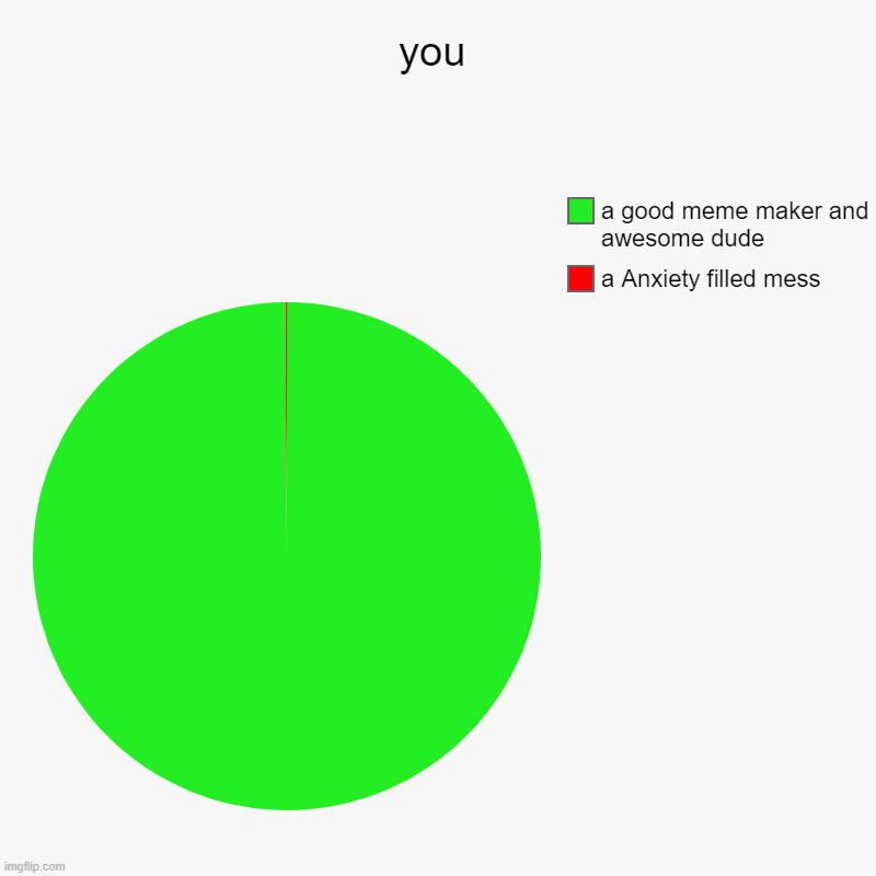 you | a Anxiety filled mess, a good meme maker and awesome dude | image tagged in charts,pie charts | made w/ Imgflip chart maker