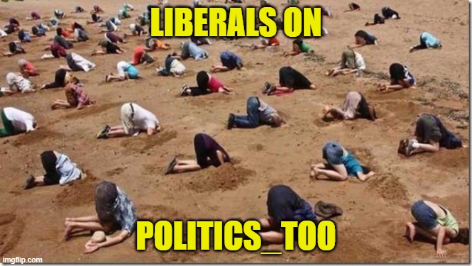 Head in sand | LIBERALS ON POLITICS_TOO | image tagged in head in sand | made w/ Imgflip meme maker