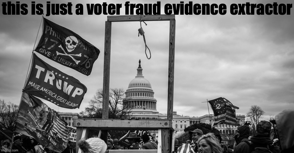 Capitol Hill riot gallows | this is just a voter fraud evidence extractor | image tagged in capitol hill riot gallows | made w/ Imgflip meme maker
