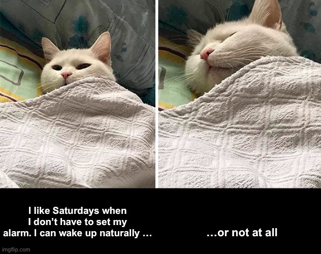 Sleepy Saturday | …or not at all; I like Saturdays when I don’t have to set my alarm. I can wake up naturally … | image tagged in funny memes | made w/ Imgflip meme maker