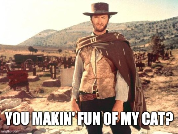 Clint Eastwood western 2 | YOU MAKIN' FUN OF MY CAT? | image tagged in clint eastwood western 2 | made w/ Imgflip meme maker
