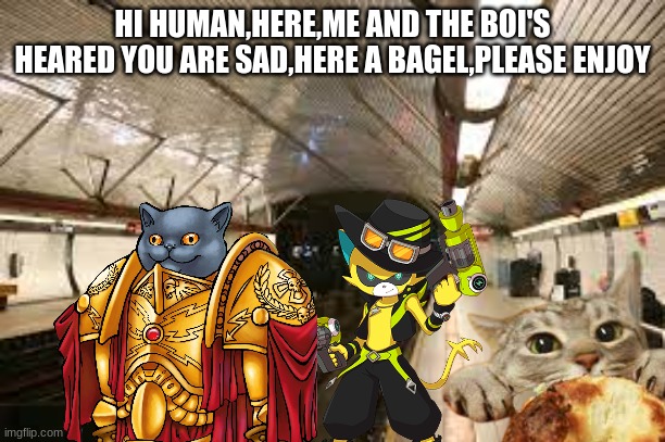 Go to the train station,I think I dropped something ;) | HI HUMAN,HERE,ME AND THE BOI'S HEARED YOU ARE SAD,HERE A BAGEL,PLEASE ENJOY | image tagged in first world problems | made w/ Imgflip meme maker