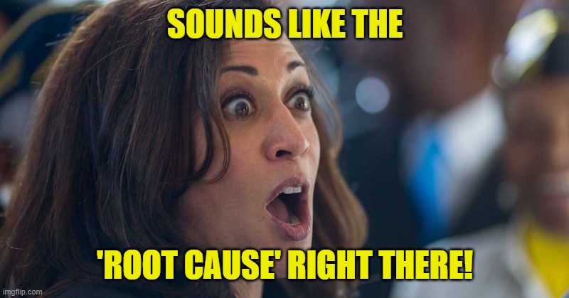 kamala harriss | SOUNDS LIKE THE 'ROOT CAUSE' RIGHT THERE! | image tagged in kamala harriss | made w/ Imgflip meme maker
