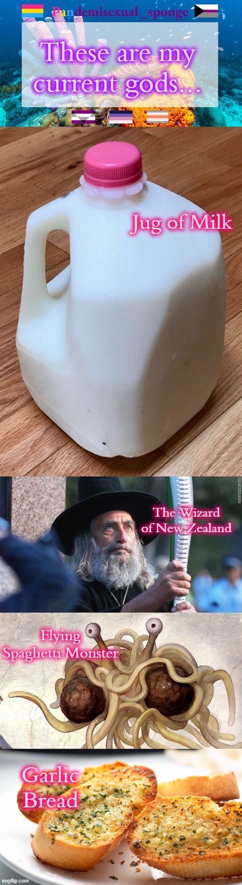 Let me know what other gods I should add | These are my current gods... Jug of Milk; The Wizard of New Zealand; Flying Spaghetti Monster; Garlic Bread | image tagged in pandemisexual_sponge temp,demisexual_sponge | made w/ Imgflip meme maker