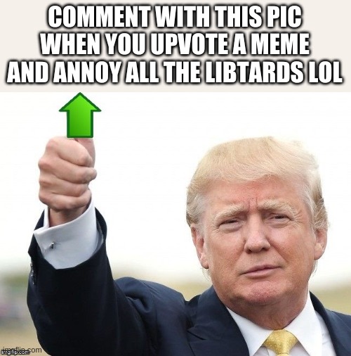 Just... DO IT! | COMMENT WITH THIS PIC WHEN YOU UPVOTE A MEME AND ANNOY ALL THE LIBTARDS LOL | image tagged in donald trump | made w/ Imgflip meme maker