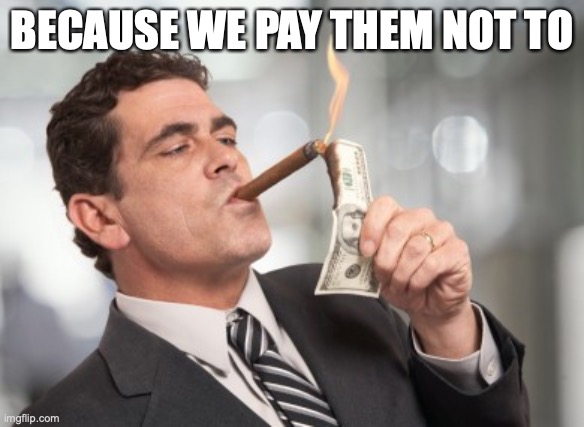 Money cigar | BECAUSE WE PAY THEM NOT TO | image tagged in money cigar | made w/ Imgflip meme maker