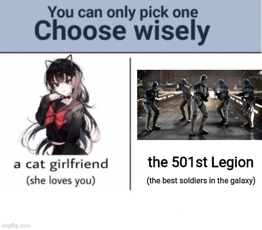 Choose wisely | the 501st Legion; (the best soldiers in the galaxy) | image tagged in choose wisely,star wars,memes,clone trooper,republic,clone wars | made w/ Imgflip meme maker