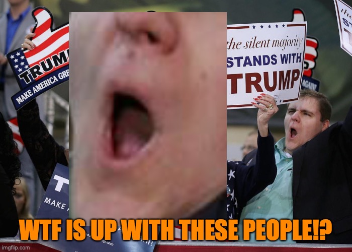Trump Supporter | WTF IS UP WITH THESE PEOPLE!? | image tagged in trump supporter | made w/ Imgflip meme maker