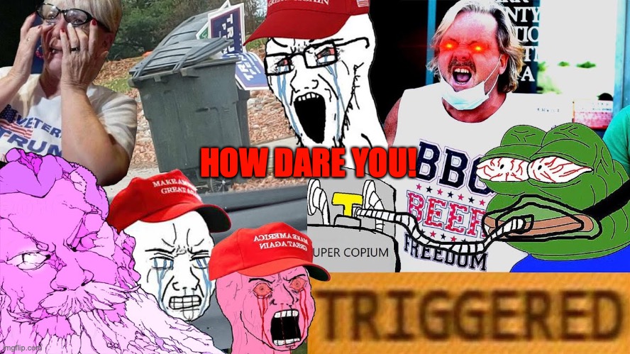 Triggered trump worshippers | HOW DARE YOU! | image tagged in triggered trump worshippers | made w/ Imgflip meme maker