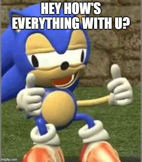 Drunk Sonic | HEY HOW'S EVERYTHING WITH U? | image tagged in drunk sonic | made w/ Imgflip meme maker