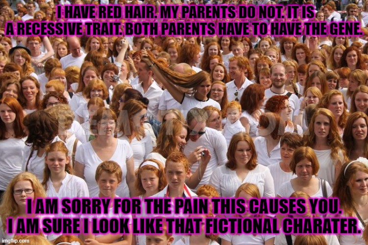 Redhead critical mass achieved  |  I HAVE RED HAIR. MY PARENTS DO NOT. IT IS A RECESSIVE TRAIT. BOTH PARENTS HAVE TO HAVE THE GENE. I AM SORRY FOR THE PAIN THIS CAUSES YOU. I AM SURE I LOOK LIKE THAT FICTIONAL CHARATER. | image tagged in redhead critical mass achieved | made w/ Imgflip meme maker