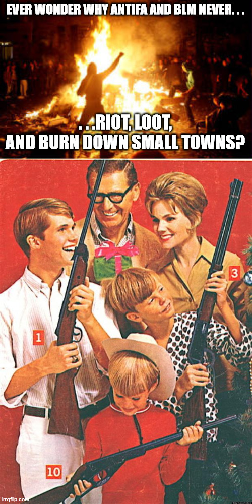 I wonder if ANTIFA and BLM will ever be that stupid? | EVER WONDER WHY ANTIFA AND BLM NEVER. . . . . .RIOT, LOOT, AND BURN DOWN SMALL TOWNS? | image tagged in anarchy riot,christmas guns,blm,antifa,political meme | made w/ Imgflip meme maker