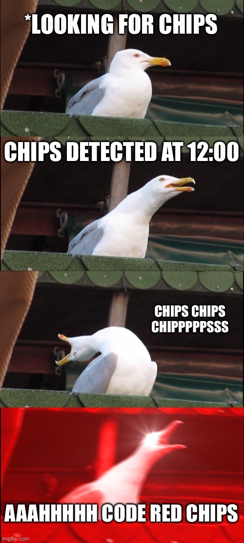 CHIPS | *LOOKING FOR CHIPS; CHIPS DETECTED AT 12:00; CHIPS CHIPS
CHIPPPPPSSS; AAAHHHHH CODE RED CHIPS | image tagged in memes,inhaling seagull,chips | made w/ Imgflip meme maker