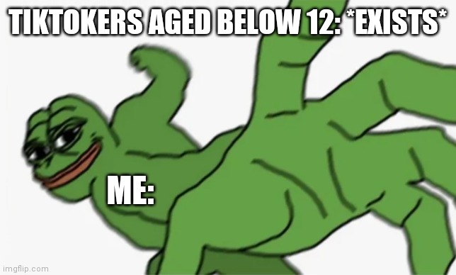 Tiktok bad for health | TIKTOKERS AGED BELOW 12: *EXISTS*; ME: | image tagged in pepe punch | made w/ Imgflip meme maker