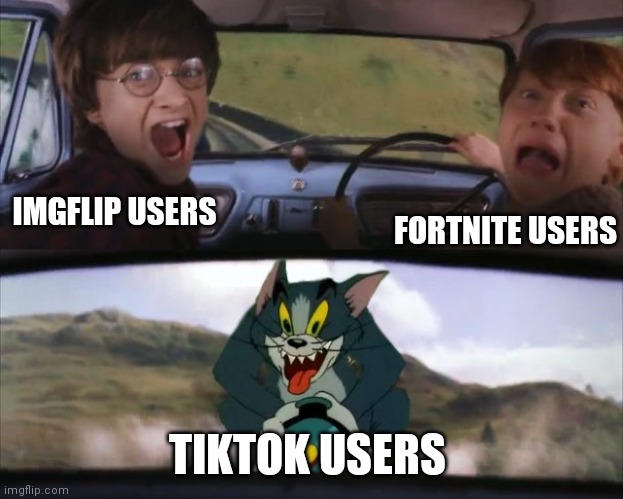 Tiktok is trash | IMGFLIP USERS; FORTNITE USERS; TIKTOK USERS | image tagged in tom chasing harry and ron weasly | made w/ Imgflip meme maker