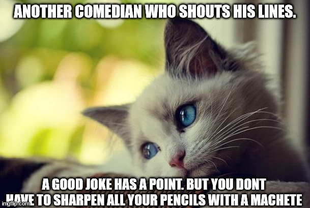 First World Problems Cat Meme |  ANOTHER COMEDIAN WHO SHOUTS HIS LINES. A GOOD JOKE HAS A POINT. BUT YOU DONT HAVE TO SHARPEN ALL YOUR PENCILS WITH A MACHETE | image tagged in memes,first world problems cat | made w/ Imgflip meme maker