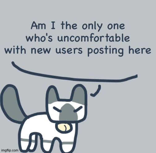 Cat | Am I the only one who's uncomfortable with new users posting here | image tagged in cat | made w/ Imgflip meme maker