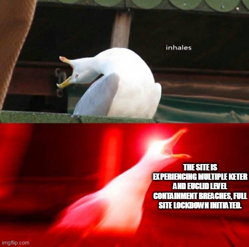 funni intercom man | THE SITE IS EXPERIENCING MULTIPLE KETER AND EUCLID LEVEL CONTAINMENT BREACHES, FULL SITE LOCKDOWN INITIATED. | image tagged in inhaling seagull,scp | made w/ Imgflip meme maker