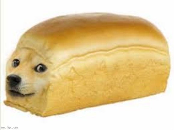 Doge + Bread = Dread | image tagged in doge bread | made w/ Imgflip meme maker
