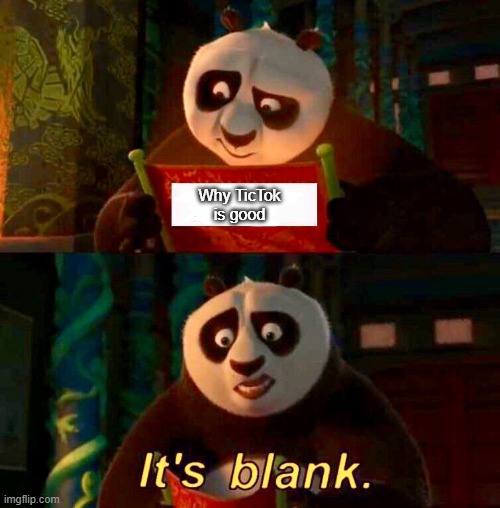Kung Fu Panda “It’s Blank” | Why TicTok is good | image tagged in kung fu panda it s blank | made w/ Imgflip meme maker