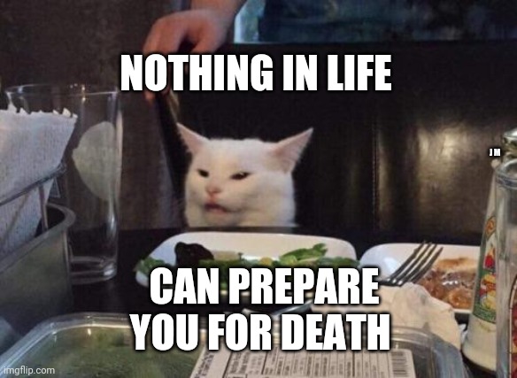 Salad cat | NOTHING IN LIFE; J M; CAN PREPARE YOU FOR DEATH | image tagged in salad cat | made w/ Imgflip meme maker