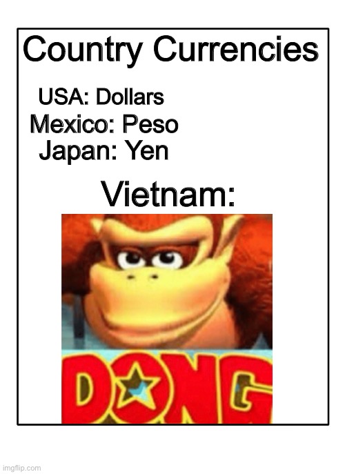 Blank Template | Country Currencies; USA: Dollars; Mexico: Peso; Vietnam:; Japan: Yen | image tagged in blank template | made w/ Imgflip meme maker