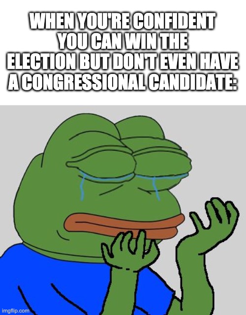 Unlike Pepe the RUP has a Congressional candidate. So vote Pollard for HOC! (PR1CE for President too) | WHEN YOU'RE CONFIDENT YOU CAN WIN THE ELECTION BUT DON'T EVEN HAVE A CONGRESSIONAL CANDIDATE: | image tagged in vote,for,the,right,unity,party | made w/ Imgflip meme maker