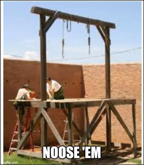Gallows | NOOSE 'EM | image tagged in gallows | made w/ Imgflip meme maker