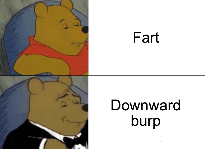 Downward burp | Fart; Downward burp | image tagged in memes,tuxedo winnie the pooh | made w/ Imgflip meme maker