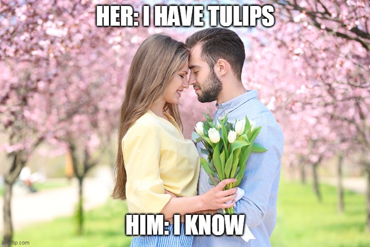 tulips | HER: I HAVE TULIPS; HIM: I KNOW | image tagged in funny memes | made w/ Imgflip meme maker