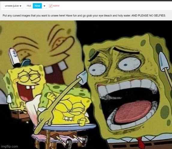 The no selfies really got me XD | image tagged in spongebob laughing hysterically | made w/ Imgflip meme maker