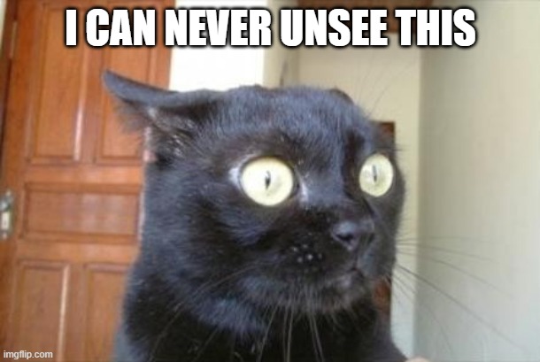 Cannot Be Unseen Cat | I CAN NEVER UNSEE THIS | image tagged in cannot be unseen cat | made w/ Imgflip meme maker