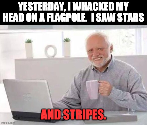 Whack | YESTERDAY, I WHACKED MY HEAD ON A FLAGPOLE.  I SAW STARS; AND STRIPES. | image tagged in harold | made w/ Imgflip meme maker