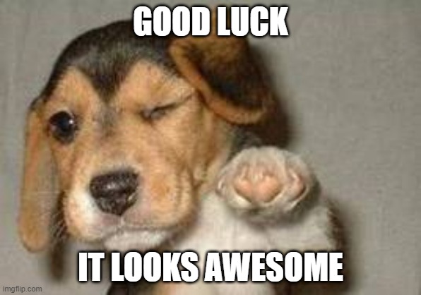 Dog wishing good luck | GOOD LUCK IT LOOKS AWESOME | image tagged in dog wishing good luck | made w/ Imgflip meme maker