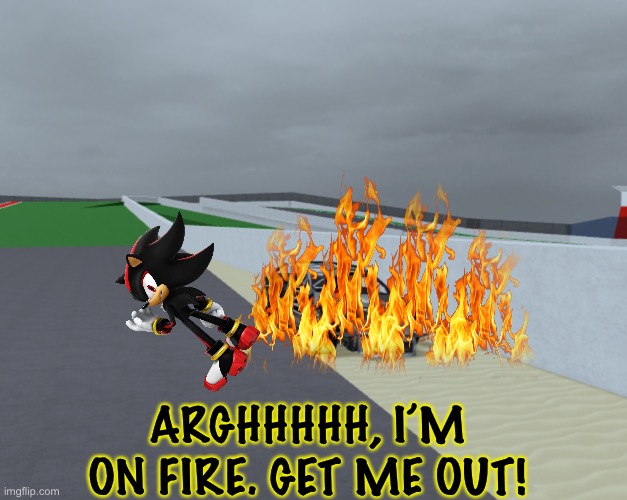 Kubica and Shadow collided, resulting in the latter having a massive fire. | ARGHHHHH, I’M ON FIRE. GET ME OUT! | image tagged in shadow the hedgehog,shadow,kubica,memes,nmcs,nascar | made w/ Imgflip meme maker