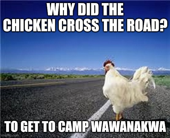 why did the chicken cross the road? | WHY DID THE CHICKEN CROSS THE ROAD? TO GET TO CAMP WAWANAKWA | image tagged in why did the chicken cross the road | made w/ Imgflip meme maker