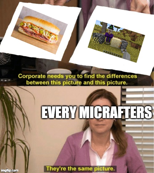 They’re the same thing | EVERY MICRAFTERS | image tagged in they re the same thing | made w/ Imgflip meme maker