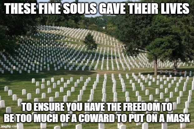 Fallen Soldiers | THESE FINE SOULS GAVE THEIR LIVES; TO ENSURE YOU HAVE THE FREEDOM TO BE TOO MUCH OF A COWARD TO PUT ON A MASK | image tagged in fallen soldiers,wear a mask | made w/ Imgflip meme maker