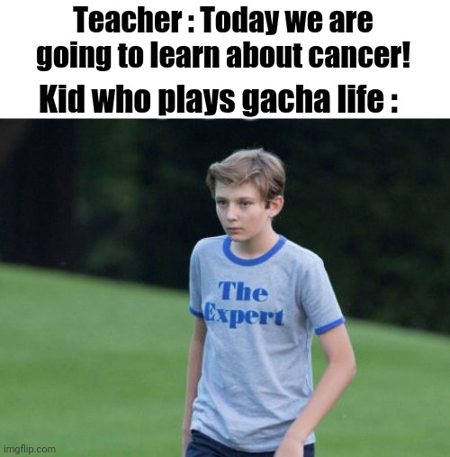 Credit to : a furry friend for the idea | Teacher : Today we are going to learn about cancer! Kid who plays gacha life : | image tagged in the expert,memes,funny,gifs,not really a gif,oh wow are you actually reading these tags | made w/ Imgflip meme maker