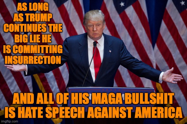 Donald Trump | AS LONG AS TRUMP CONTINUES THE BIG LIE HE IS COMMITTING INSURRECTION; AND ALL OF HIS MAGA BULLSHIT IS HATE SPEECH AGAINST AMERICA | image tagged in donald trump | made w/ Imgflip meme maker